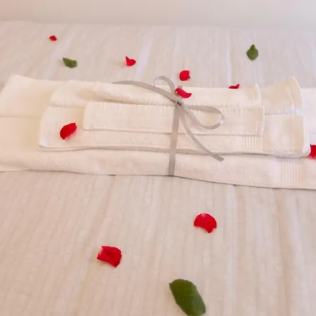 Apartment Your One And Only Belgrade